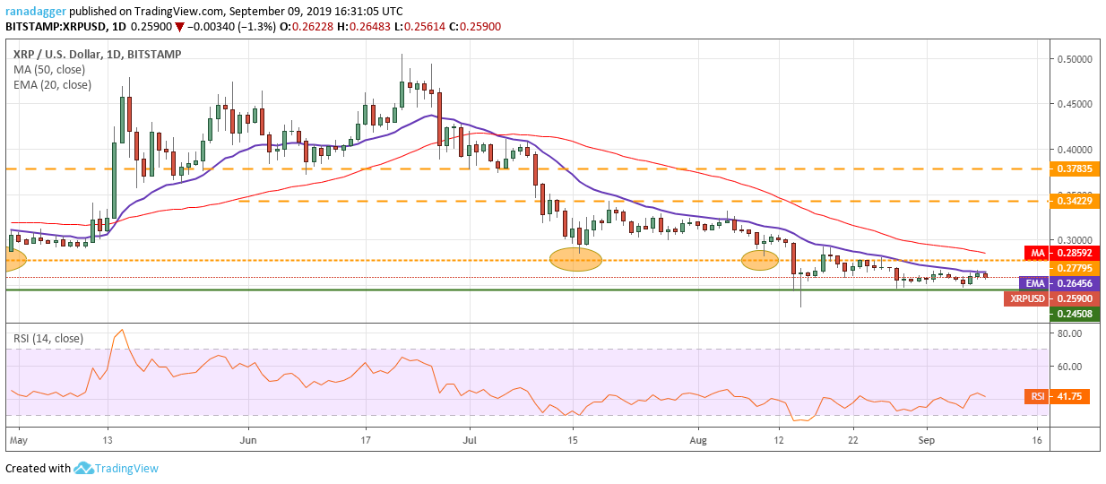 XRP/USD