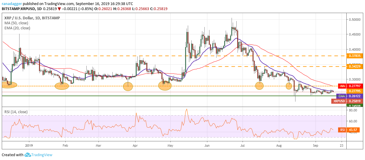 XRP/USD