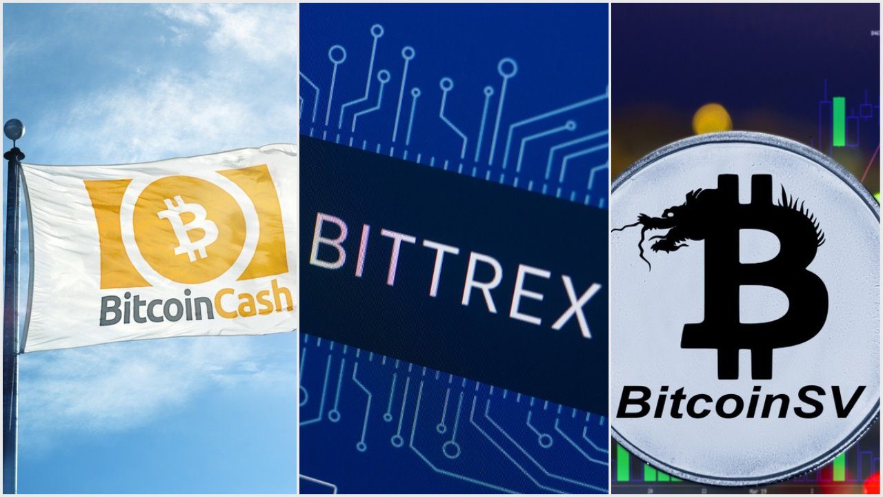 Bittrex, BCH, BSV