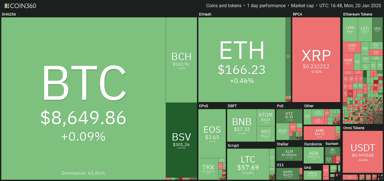 Daily cryptocurrency market performance