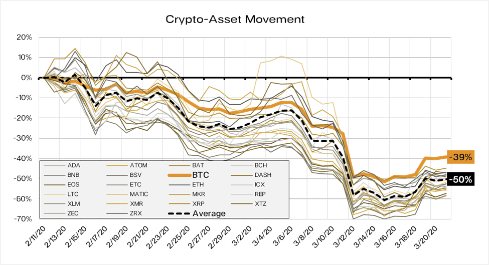 Bitcoin flight to safety 