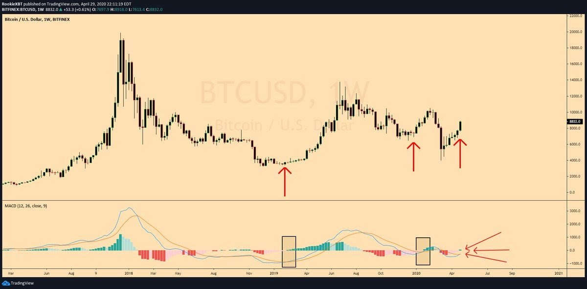 Bitcoin weekly chart sees start of new MACD trend. Source: RookieXBT​​​​​​​