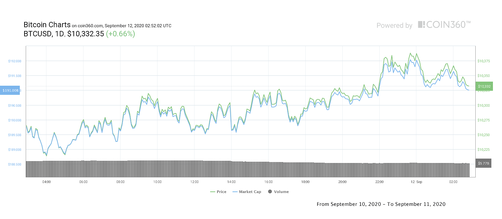 Bitcoin price daily performance
