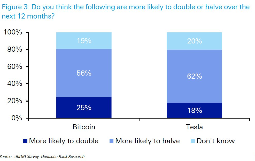 Bitcoin Seen as the Largest Bubble but 'Tesla More Vulnerable' — Deutsche Bank Survey