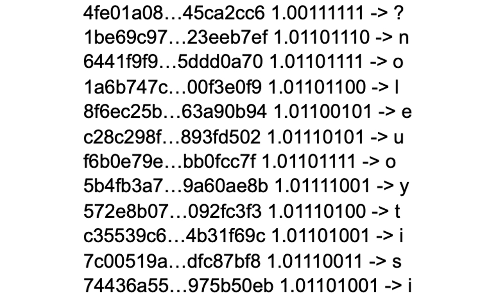 Mysterious Address With $3 Billion in Dogecoin Sends Cryptic Binary Messages to Elon Musk