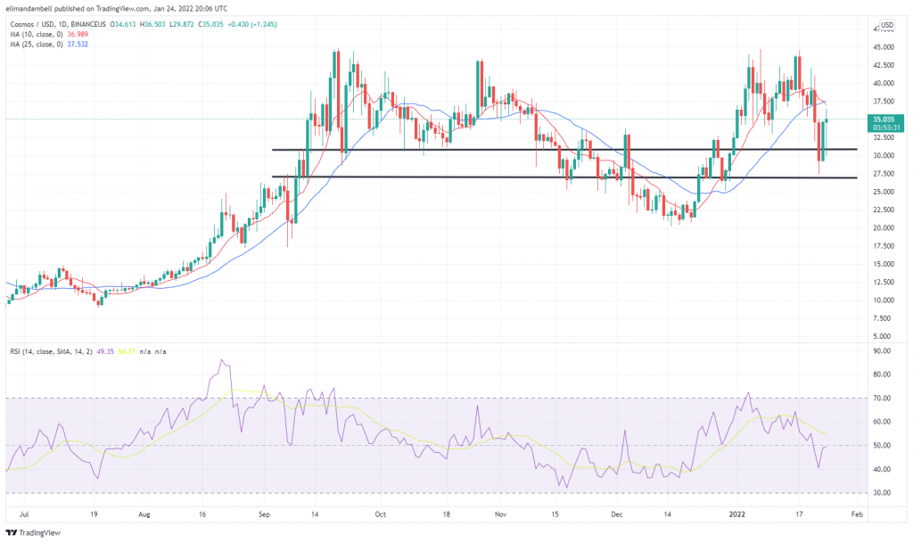 Technical Analysis: Cosmos Climbs Higher, While Solana's Fall Continues