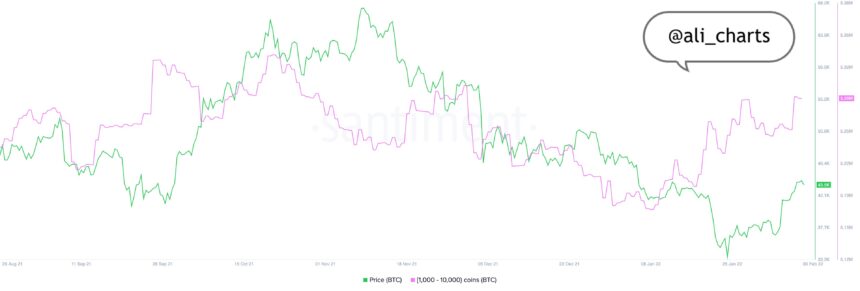 Bitcoin BTC BTCUSD