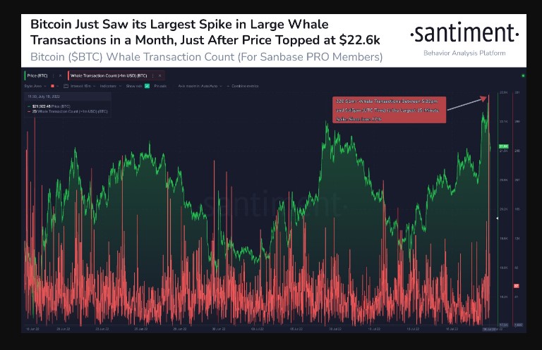 Bitcoin BTC BTCUSD Santiment