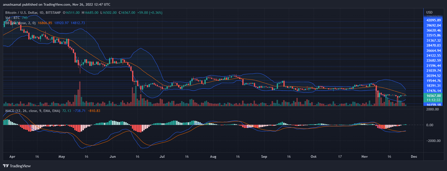 Bitcoin Price