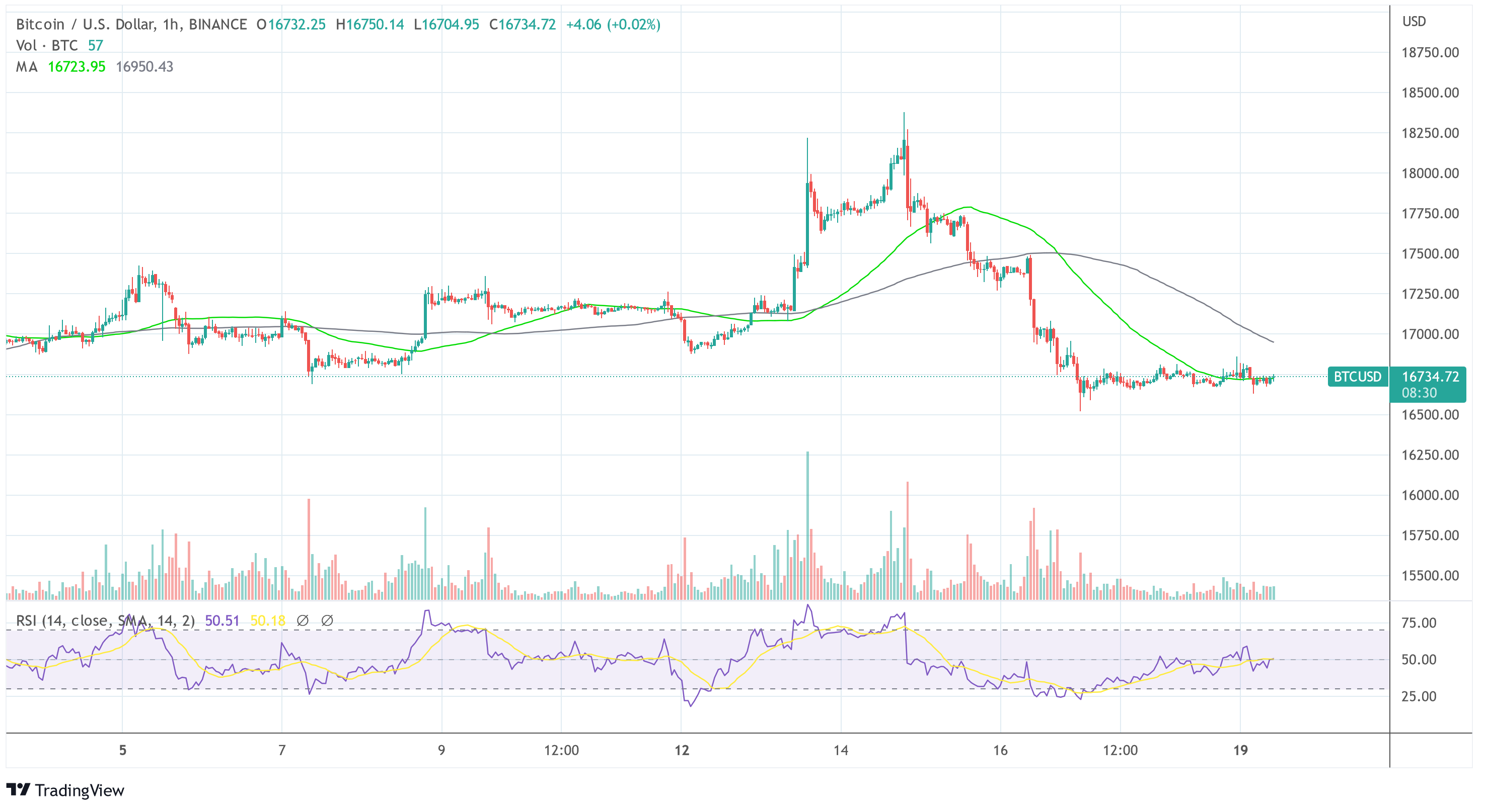 Bitcoin BTC USD 2022-12-19