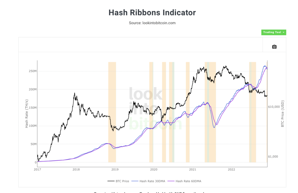 Crypto Declared Dead Yet Again As Bitcoin Hits All-Time High In Long-Term Investor Holdings￼ 14