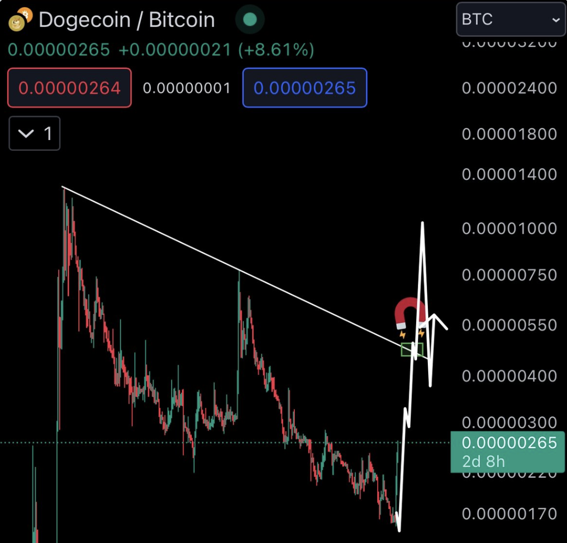 Doge, SHIB surge amid BTC peak; Scotty AI presale nets $2.3M - 3