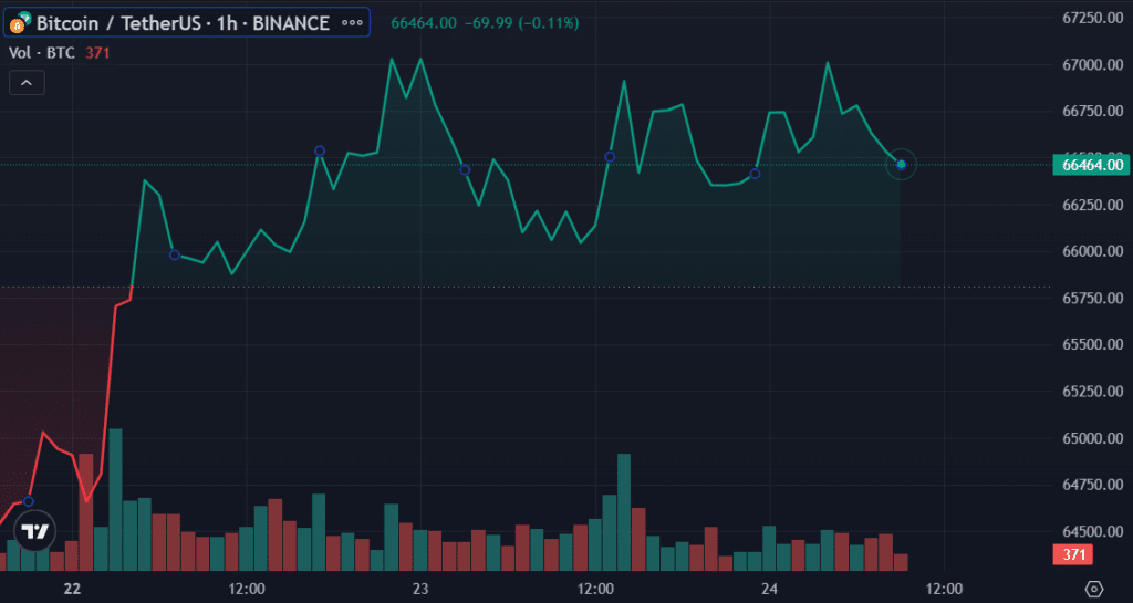 Tesla didn’t sell Bitcoin holdings despite plunge in Q1 earnings - 2