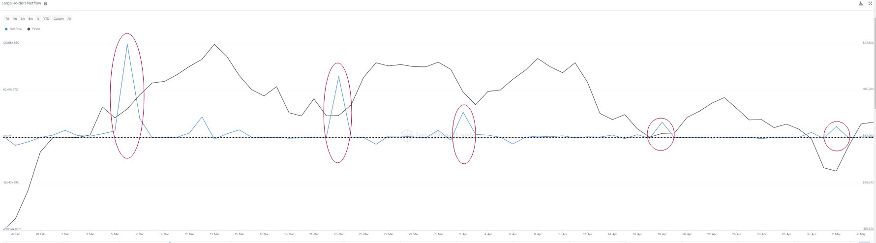 Bitcoin Whale Accumulation