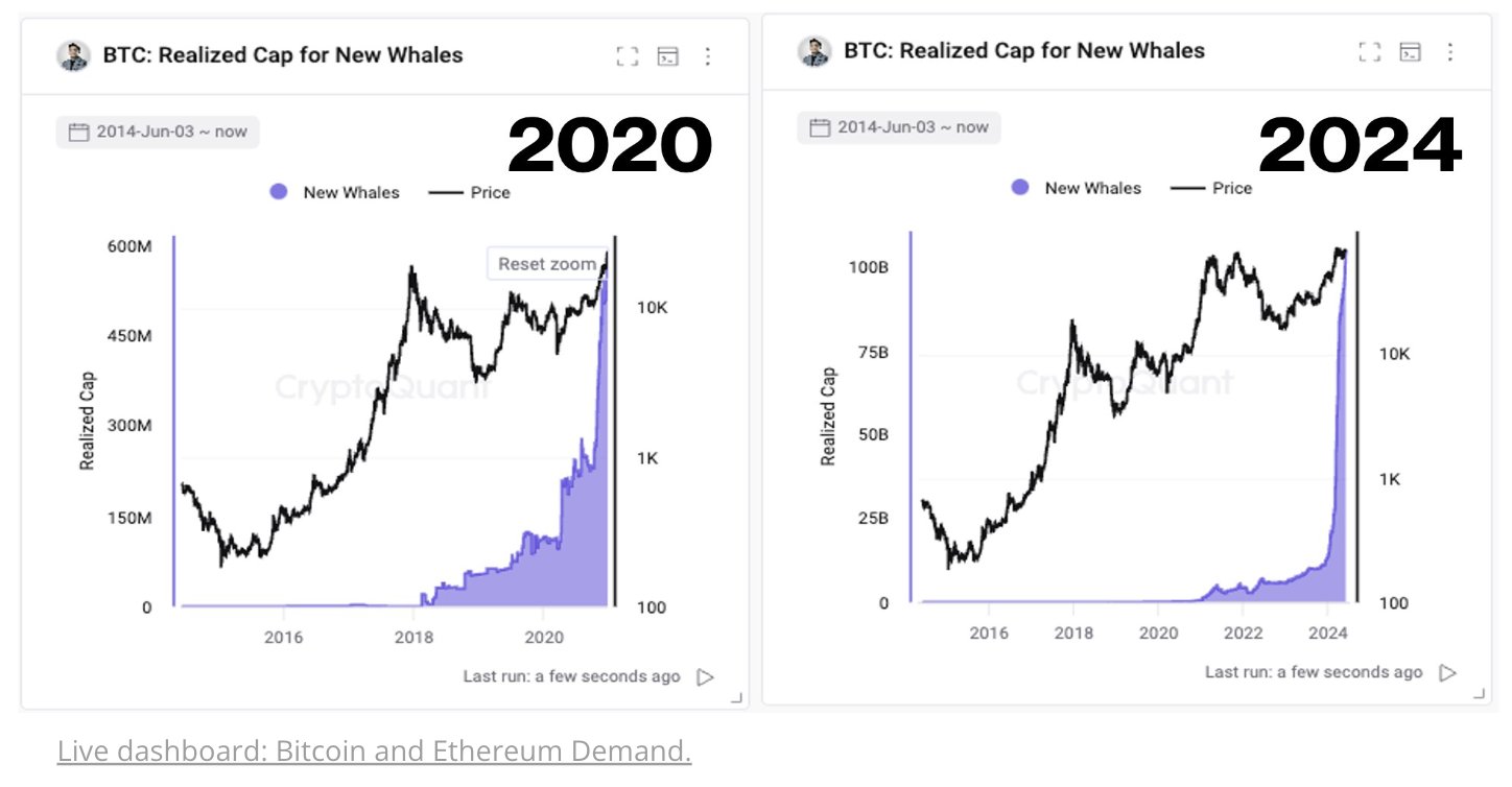 Bitcoin New Whales