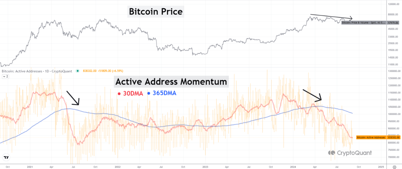 Bitcoin Active Addresses Momentum