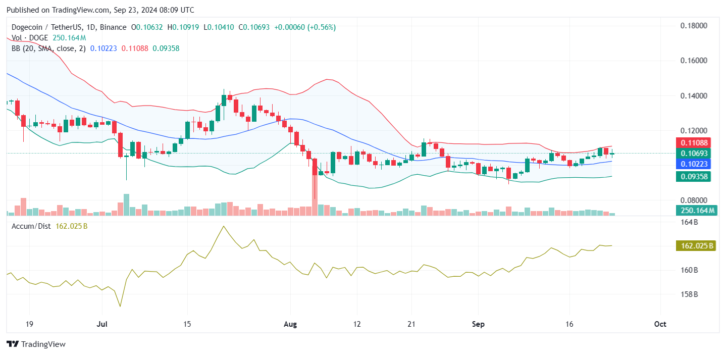 Dogecoin (DOGE) on Verge of Major 45% Breakout if This Price Level Is Conquered