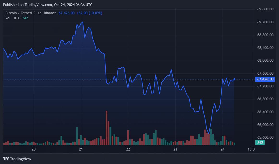 1m in Bitcoin left CEXs in 7 days, whales restart accumulation - 2