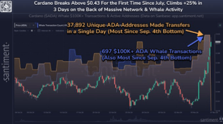 Cardano price 2