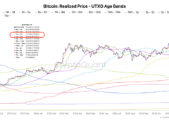 Analyst Reveals Bitcoin’s Hidden Price Zones: Key Levels Investors Need To Watch