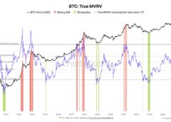 Is Bitcoin Bull Run Over? What This Legendary Metric Says