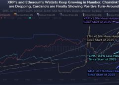 Dogecoin Hodlers Surge In 2025: Will Price Skyrocket Next?