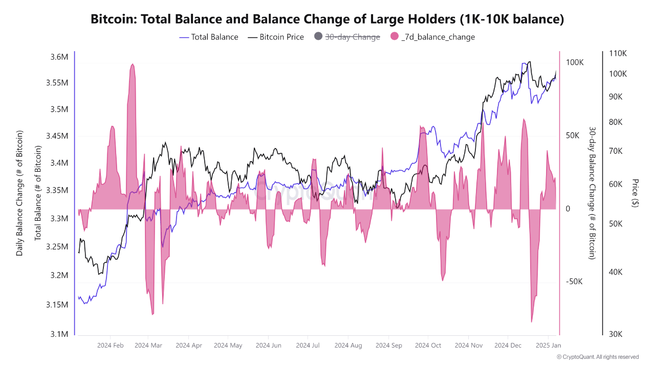 Bitcoin balance change of large holders.