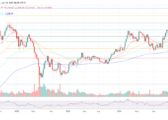 Top Altcoins To Buy This Year