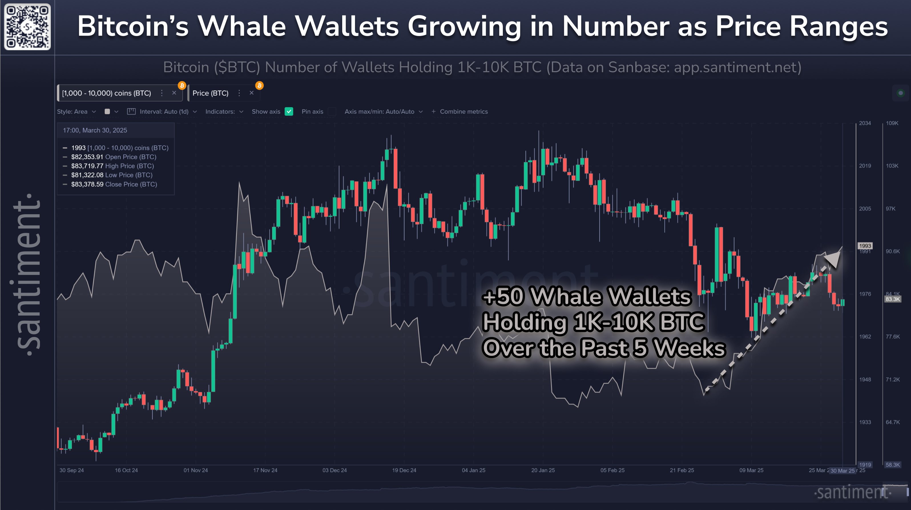 Bitcoin Supply Distribution