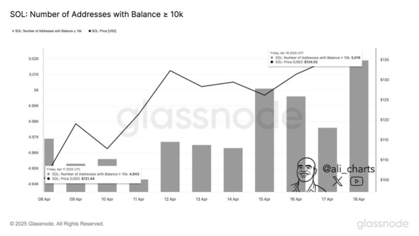Solana Number of Addresses With Balances > 10K | Source: Ali Martinez on X