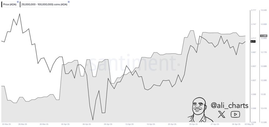Cardano whales accumulated over 410 million ADA in April | Source: Ali Martinez on X