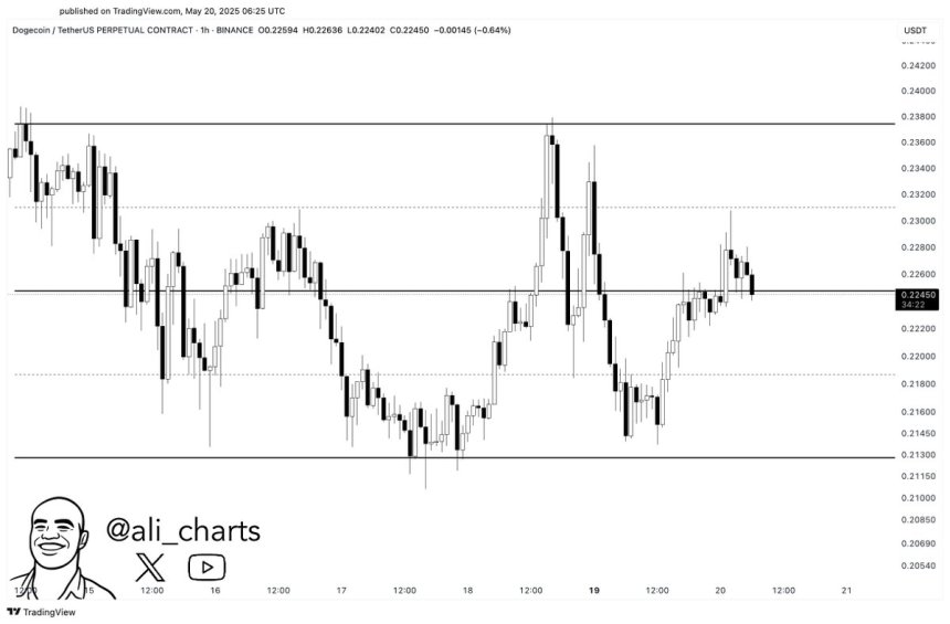 Dogecoin fails to keep pushing above supply | Source: Ali Martinez on X