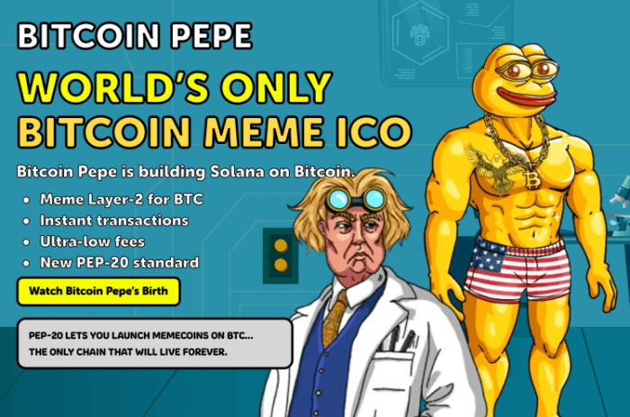 Bitcoin Pepe presale page.