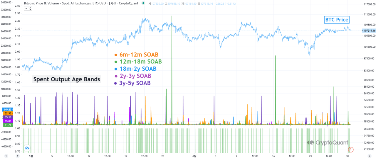 Bitcoin Spent Output Age Bands metric. 