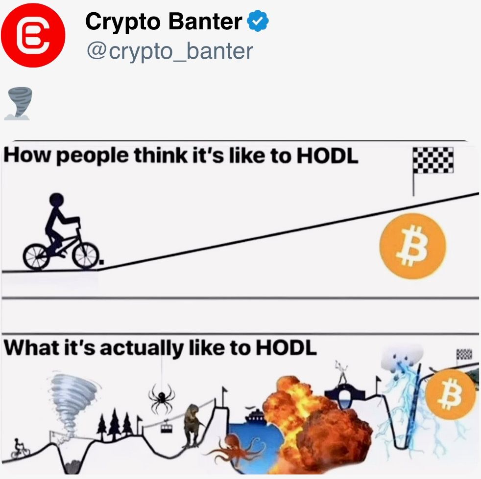 HODLing HODLing