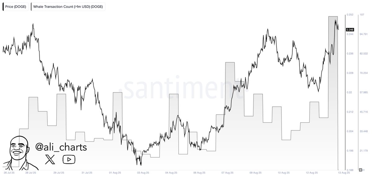 Dogecoin Whale Activity