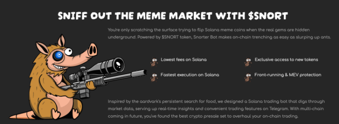 what is snorter token.