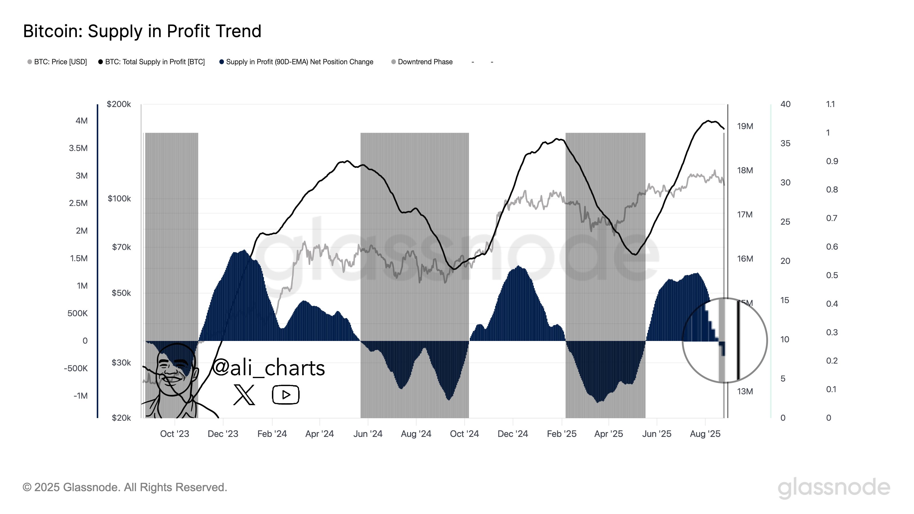 Bitcoin Supply in Profit