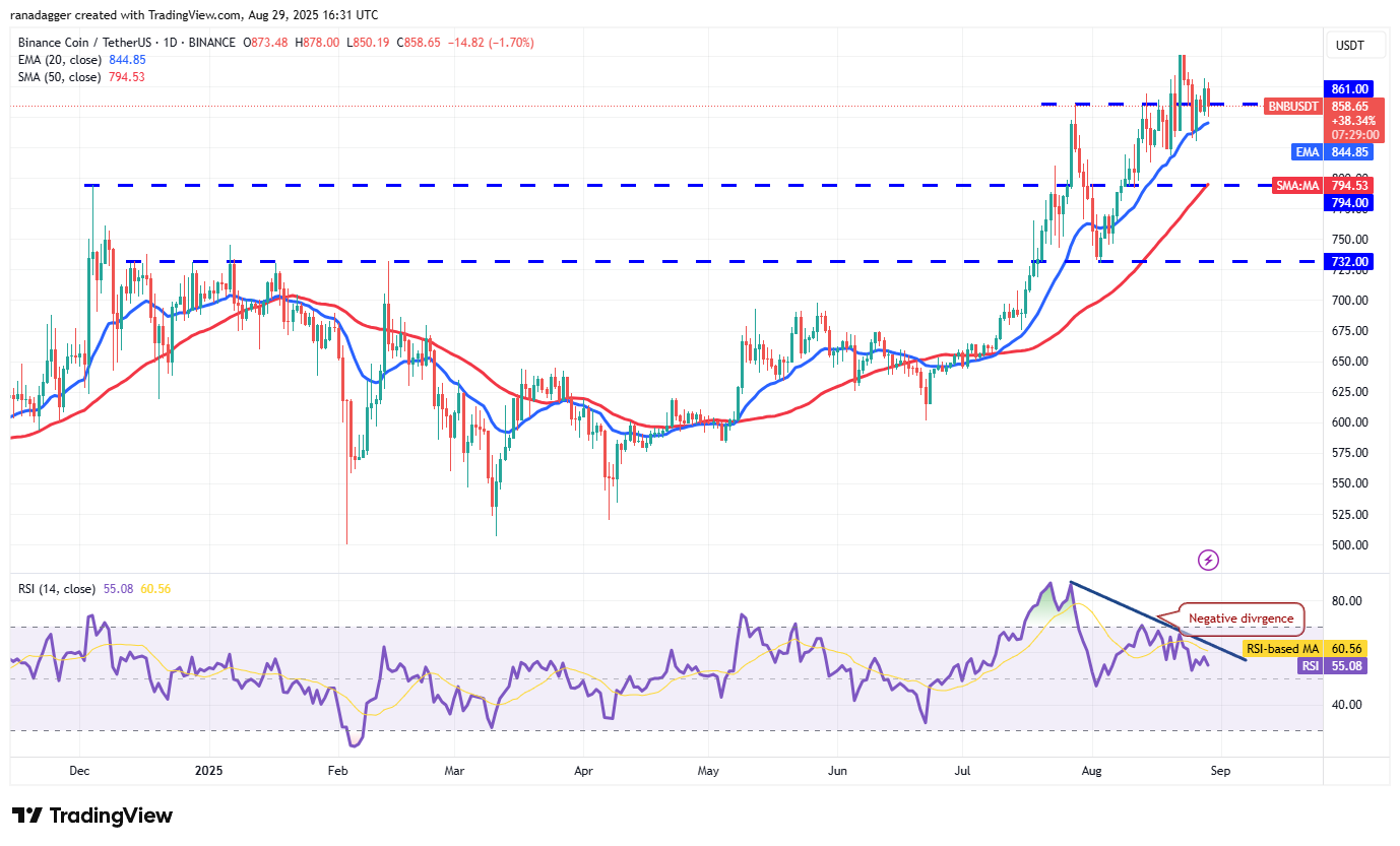Dogecoin, Cryptocurrencies, Bitcoin Price, Christmas, XRP, Markets, Cryptocurrency Exchange, Cardano, Price Analysis, Binance Coin, Chainlink, Market Analysis, Ether Price, Solana, Ethereum ETF, Bitcoin ETF, ETF, SUI