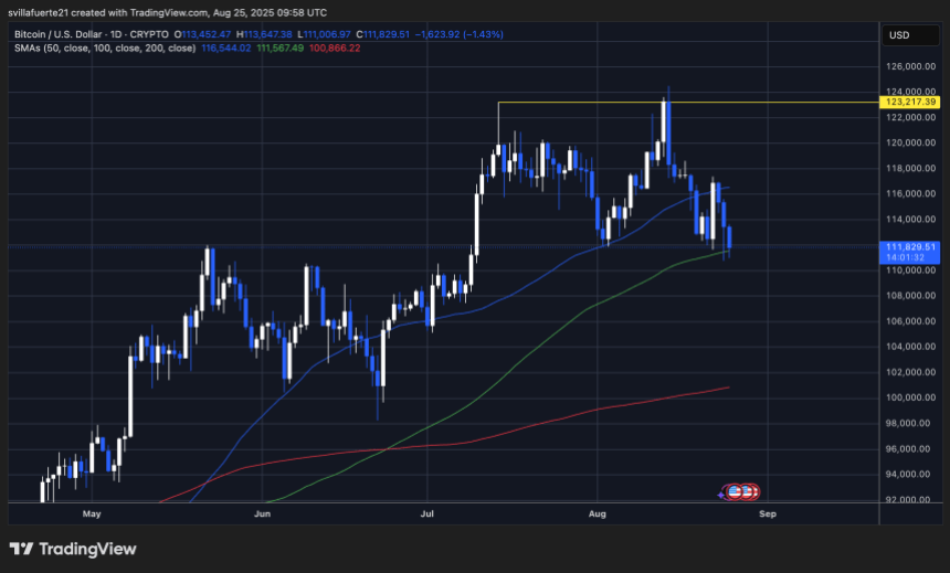 BTC holding $110K level | Source: BTCUSDT chart on TradingView
