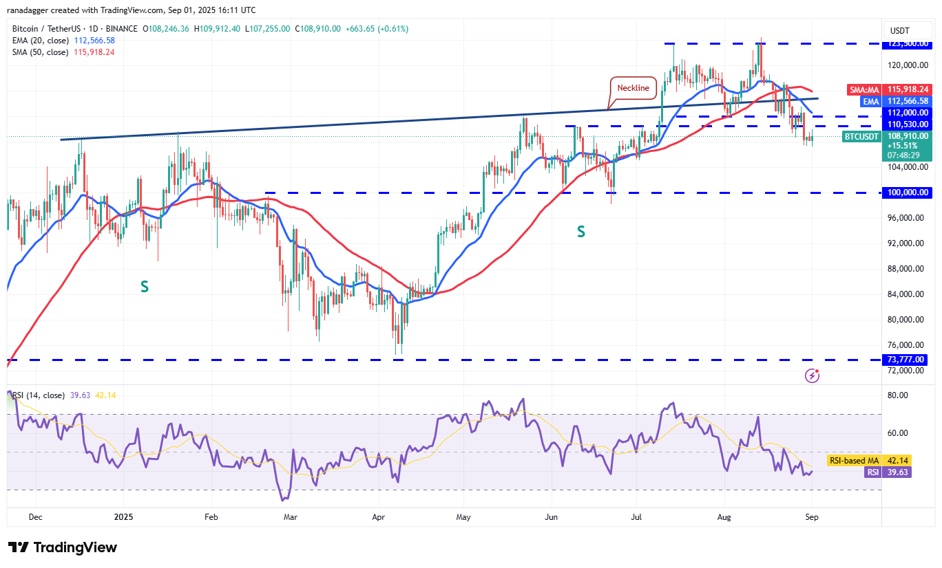 Dogecoin, Cryptocurrencies, Dollar, Bitcoin Price, XRP, Markets, Cryptocurrency Exchange, Social Media, Cardano, Price Analysis, Binance Coin, Chainlink, Market Analysis, CoinShares, Ether Price, Solana, S&P 500