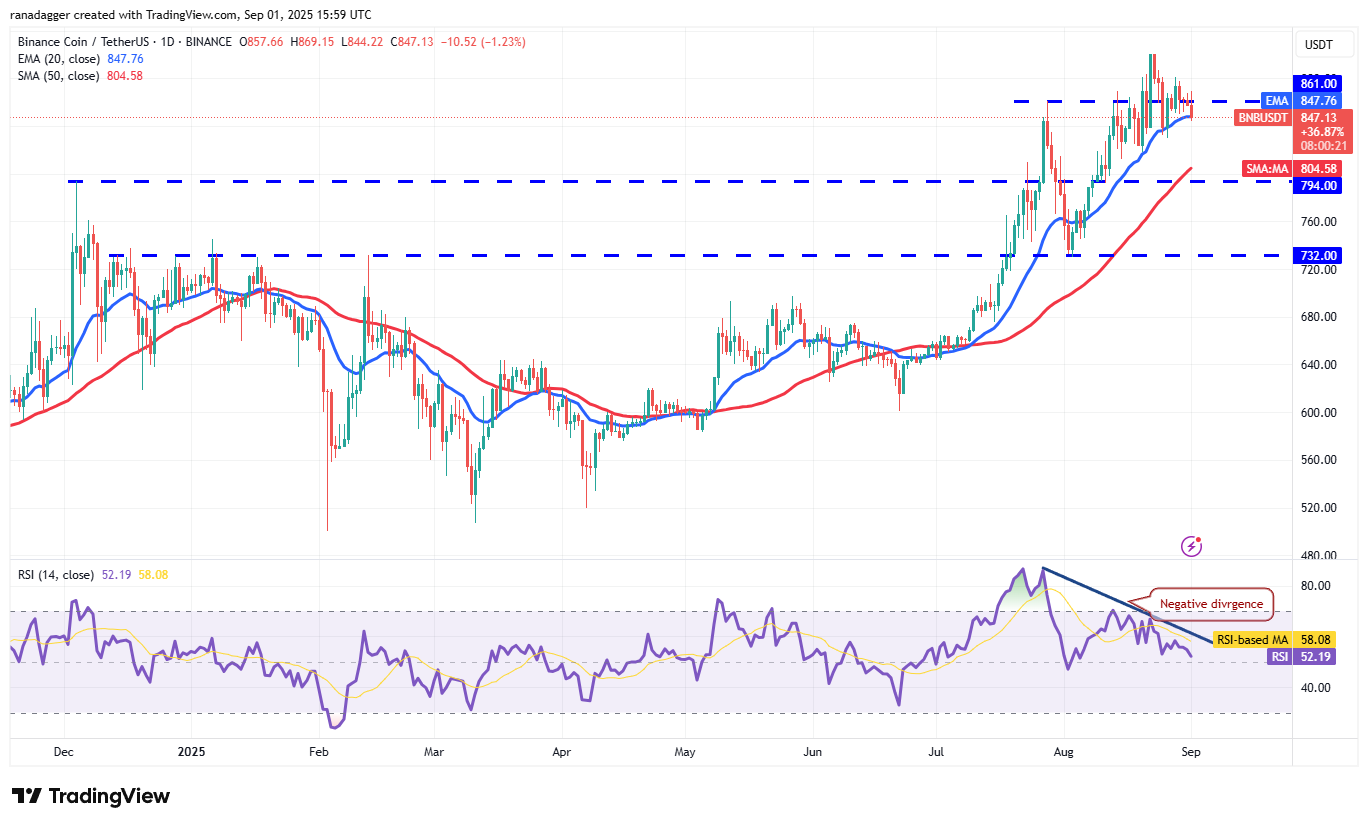 Dogecoin, Cryptocurrencies, Dollar, Bitcoin Price, XRP, Markets, Cryptocurrency Exchange, Social Media, Cardano, Price Analysis, Binance Coin, Chainlink, Market Analysis, CoinShares, Ether Price, Solana, S&P 500