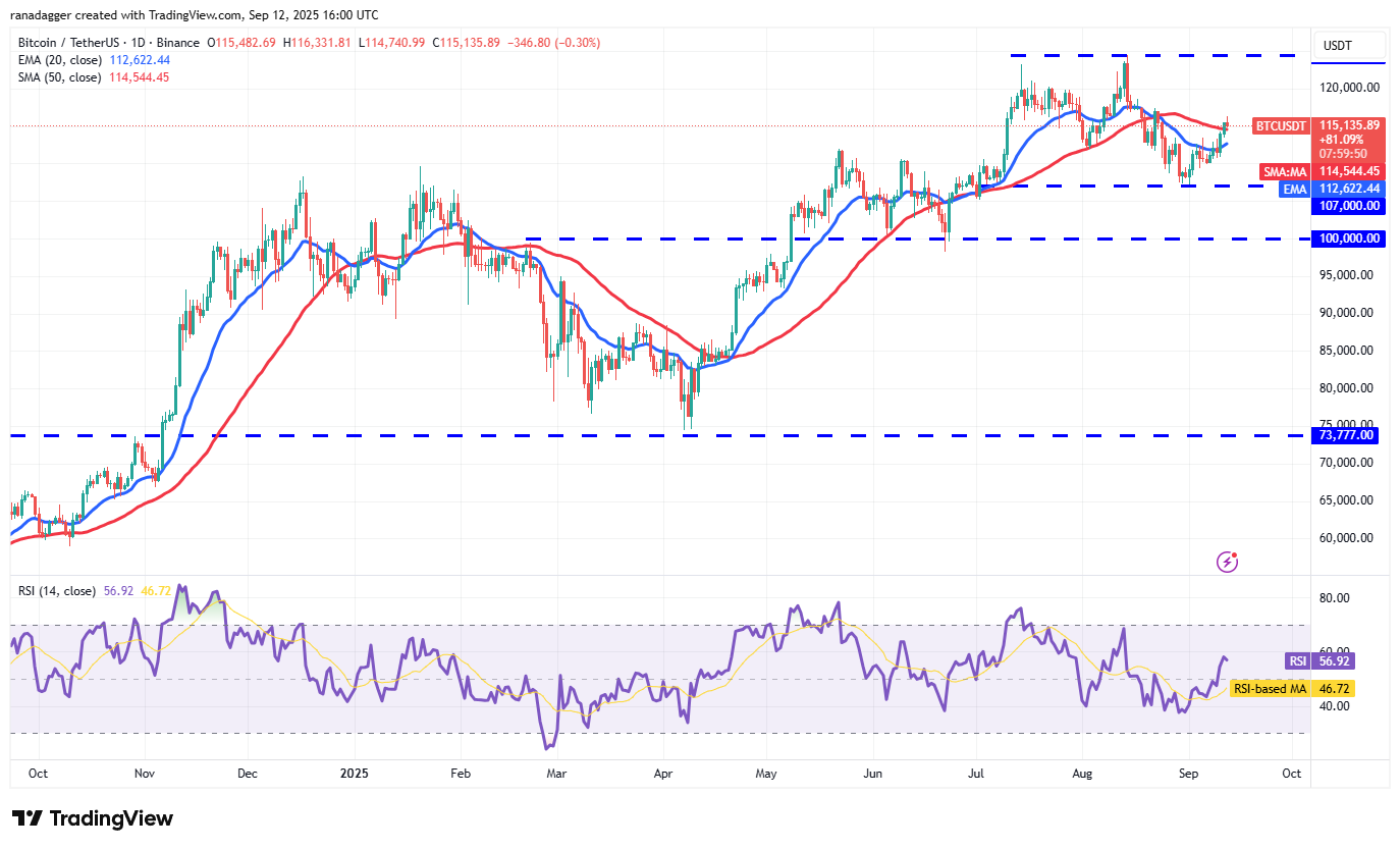Dogecoin, Cryptocurrencies, Bitcoin Price, XRP, Markets, Cryptocurrency Exchange, Cardano, Price Analysis, Binance Coin, Chainlink, Market Analysis, Ether Price, Solana, Bitcoin ETF, ETF, SUI