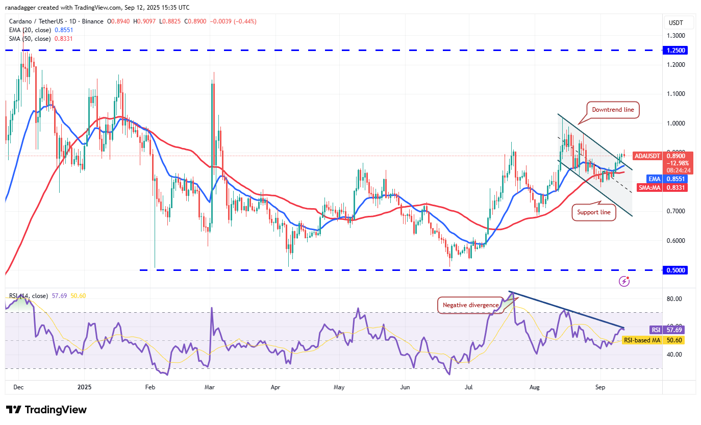 Dogecoin, Cryptocurrencies, Bitcoin Price, XRP, Markets, Cryptocurrency Exchange, Cardano, Price Analysis, Binance Coin, Chainlink, Market Analysis, Ether Price, Solana, Bitcoin ETF, ETF, SUI