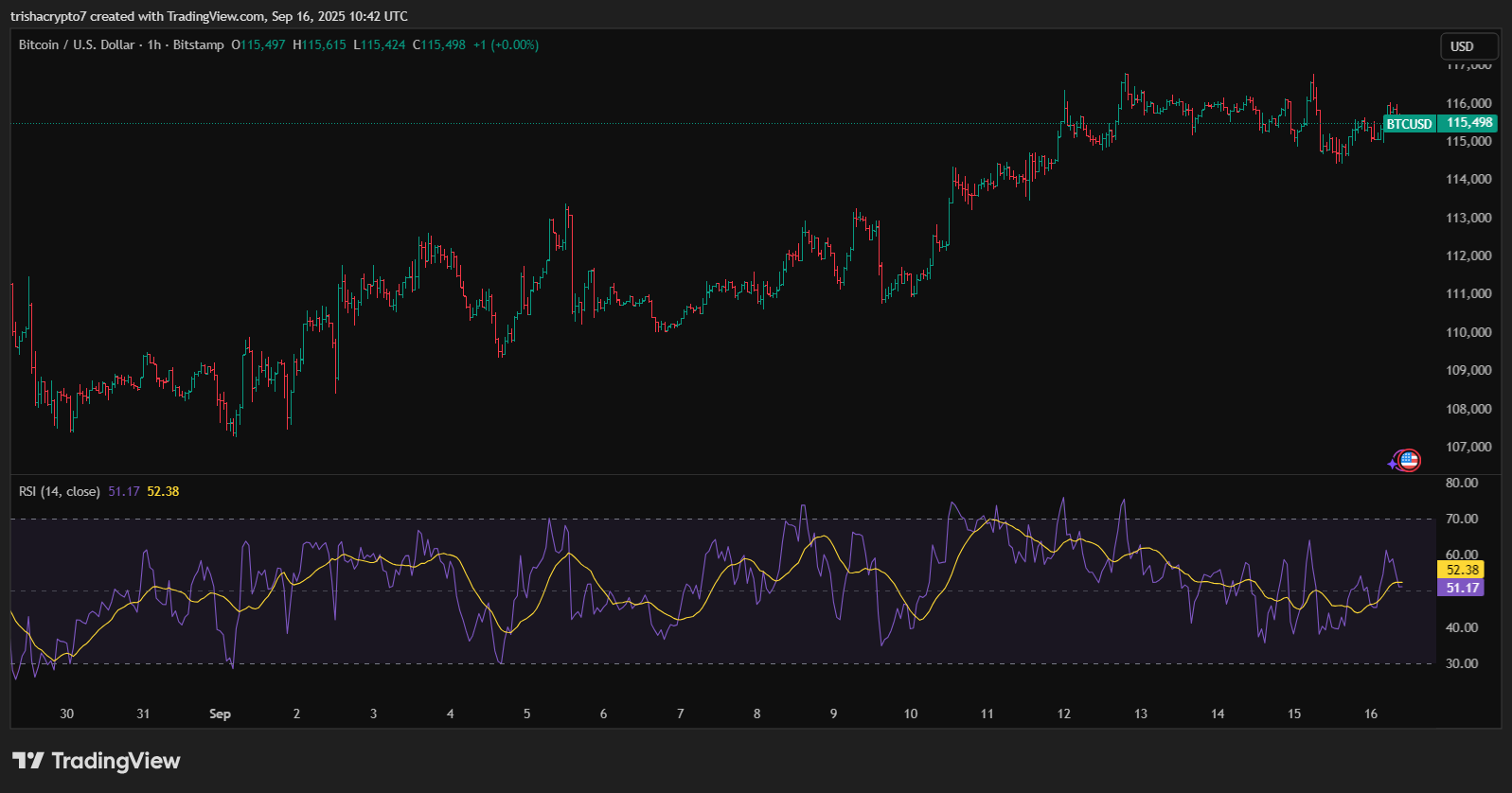Price chart for Bitcoin in the past few days | Source: TradingView