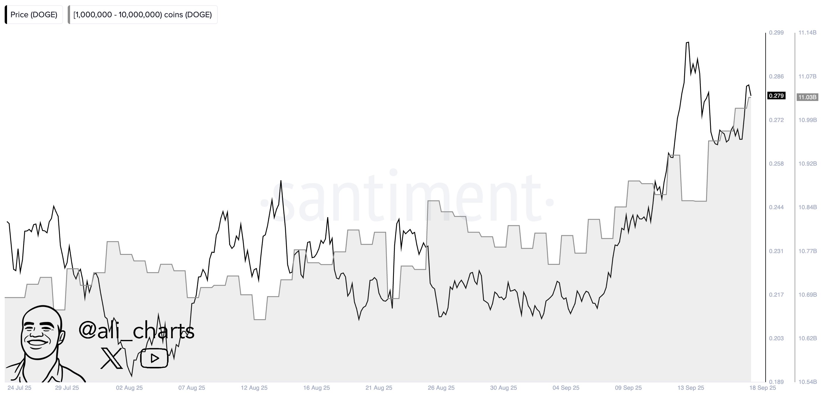 Dogecoin Whale Supply