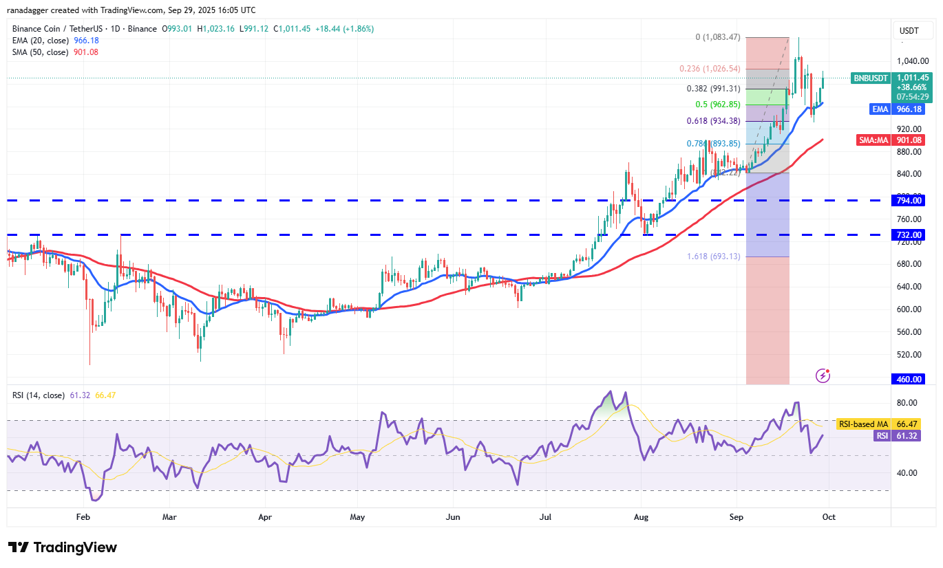 Dogecoin, Cryptocurrencies, Dollar, Bitcoin Price, XRP, Markets, Cryptocurrency Exchange, Cardano, Price Analysis, Binance Coin, Market Analysis, CoinShares, Ether Price, Solana, S&P 500