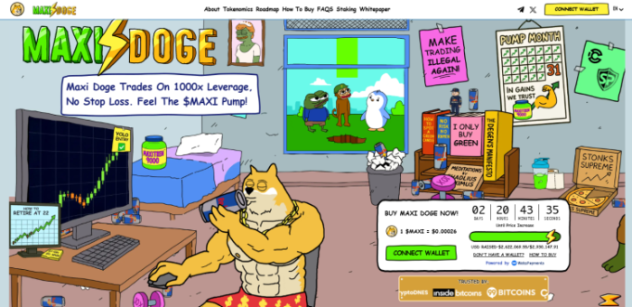 Maxi Doge presale details from the website.