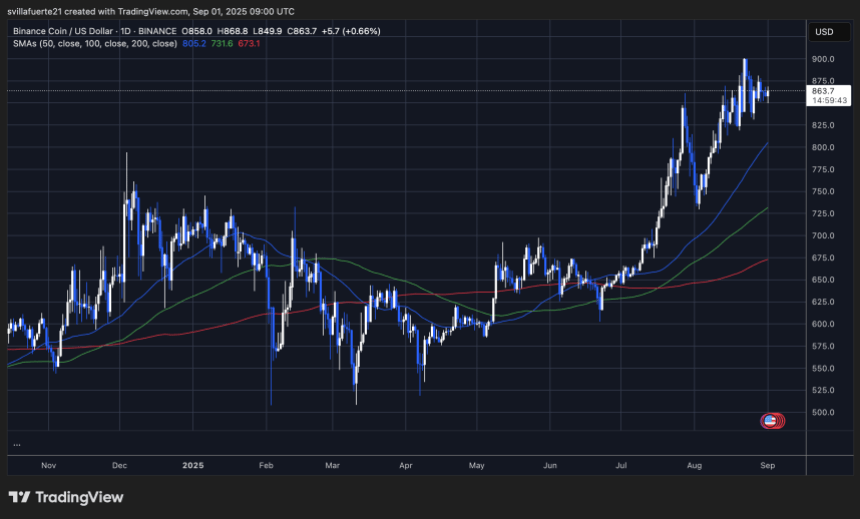 Binance price consolidates around ATH | Source: BNBUSDT chart on TradingView