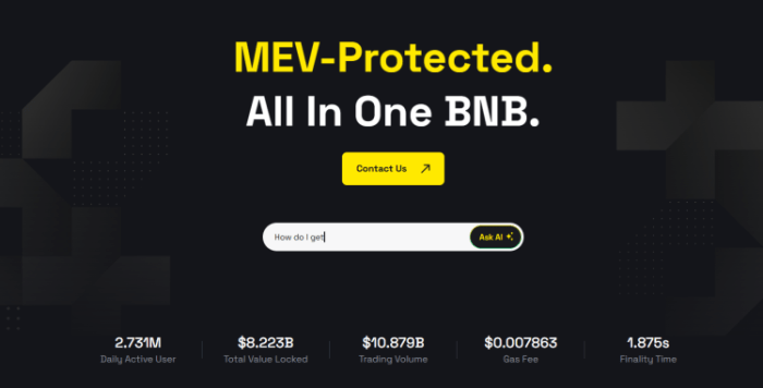 MEV protection with all-in-one BNB.